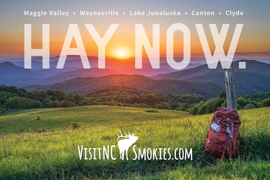 Haywood County Ad - Hay Now